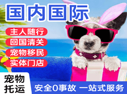 常州机场邮寄国际宠物托运 【国